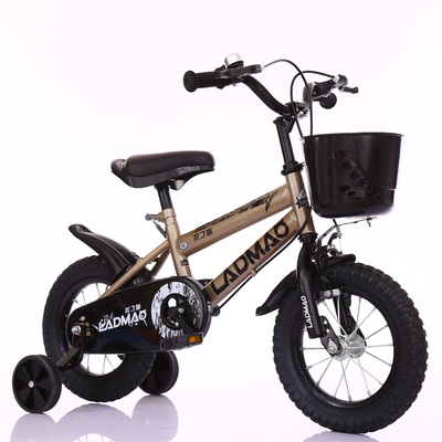 Gold boys outlet bike